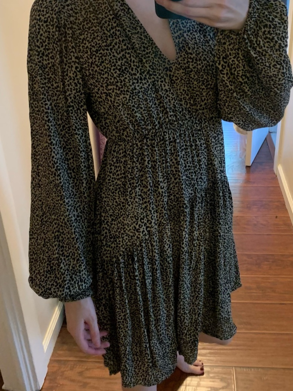 Target  Leopard Print V-Neck Long Sleeve Dress
